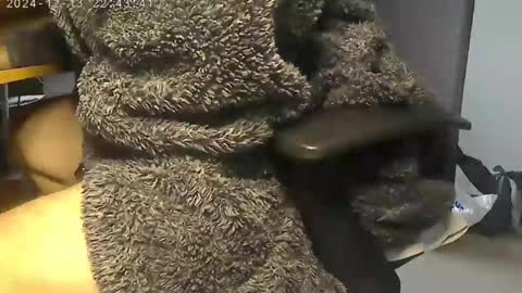 nineinchhard online show from December 2024 09:19:02 AM