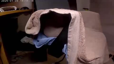 nineinchhard online show from January 2025 06:15:01 PM