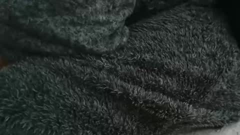 nineinchhard online show from September 2025 08:46:02 AM