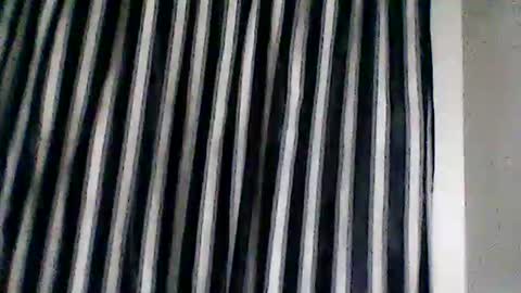 FUZZY-D online show from September 2025 05:51:02 PM