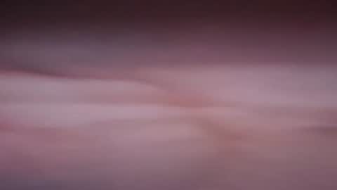 nne931 online show from July 2026 12:48:02 AM