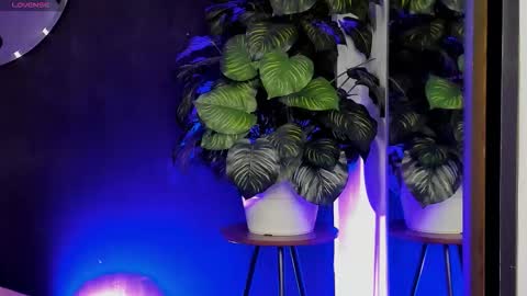 Noah  online show from March 2026 03:21:02 AM