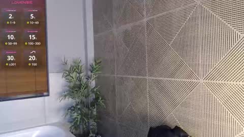 noah_dupont_ online show from February 2026 11:53:01 AM