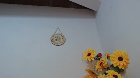 Snapshot of noah_miller7 chatting on January 2025 10:15:02 AM Noah Millers online show from January 2025 10:15:02 AM