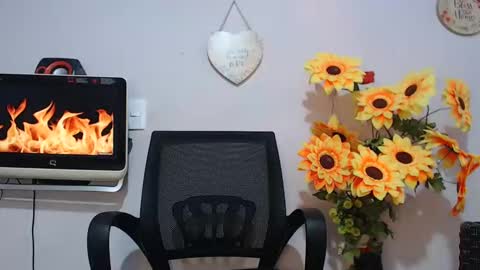 Snapshot of noah_miller7 chatting on January 2025 10:33:01 PM Noah Millers online show from January 2025 10:33:01 PM