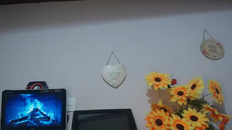 Snapshot of noah_miller7 chatting on January 2025 09:30:02 AM Noah Millers online show from January 2025 09:30:02 AM