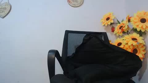 Snapshot of noah_miller7 chatting on January 2025 11:15:02 AM Noah Millers online show from January 2025 11:15:02 AM