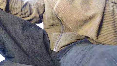 Snapshot of noah_miller7 chatting on January 2025 08:30:02 AM Noah Millers online show from January 2025 08:30:02 AM