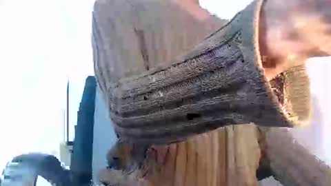 Snapshot of noah_miller7 chatting on January 2025 10:27:02 AM Noah Millers online show from January 2025 10:27:02 AM