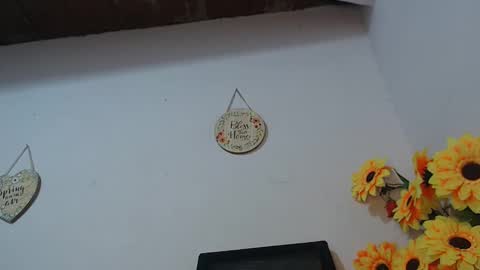 Snapshot of noah_miller7 chatting on February 2025 07:47:01 AM Noah Millers online show from February 2025 07:47:01 AM