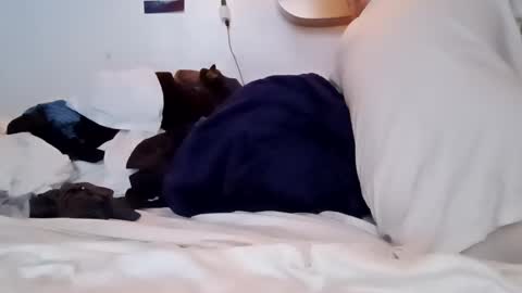 Snapshot of noah_wesley chatting on January 2025 02:12:02 PM Noah Wesley online show from January 2025 02:12:02 PM