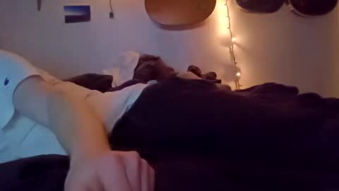 Snapshot of noah_wesley chatting on February 2025 09:15:01 AM Noah Wesley online show from February 2025 09:15:01 AM