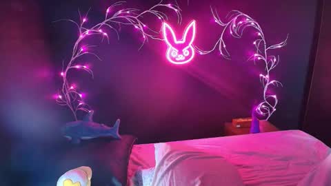 Noah Xtar online show from November 2025 02:54:02 AM