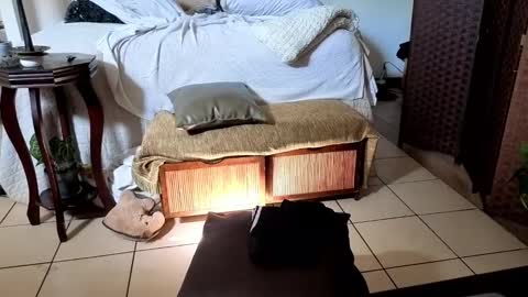 Snapshot of nobudget06 chatting on February 2025 04:42:02 PM nobudget06 online show from February 2025 04:42:02 PM