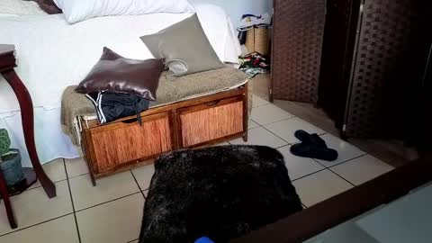 Snapshot of nobudget06 chatting on February 2025 11:00:02 PM nobudget06 online show from February 2025 11:00:02 PM