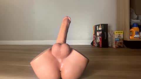 nocturnalhabits online show from October 2025 09:21:02 PM