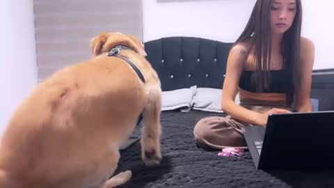 Snapshot of nocturnallovers_ss chatting on January 2026 03:34:02 AM Jean Y Isa online show from January 2026 03:34:02 AM