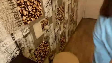 Abri online show from March 2026 01:03:02 PM