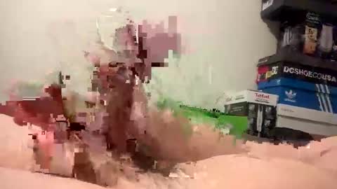 nolplus online show from February 2025 06:51:02 AM