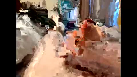 nolplus online show from March 2025 05:40:01 AM