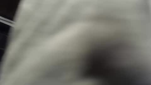 Snapshot of nombah_ chatting on December 2025 01:21:02 AM nombah_ online show from December 2025 01:21:02 AM