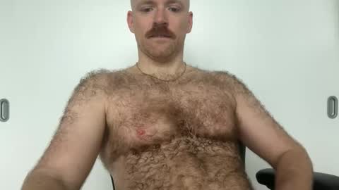 No Plan online show from January 2026 02:41:02 PM