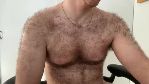 No Plan online show from February 2026 01:53:02 PM