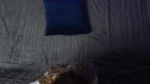 Eva online show from December 2024 12:12:02 PM