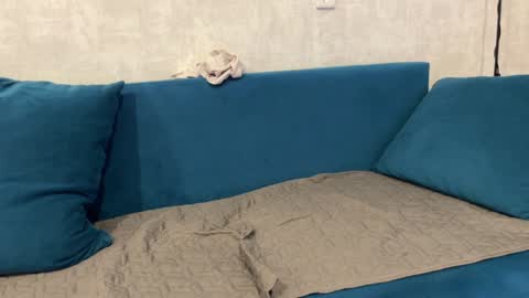 Eva online show from December 2024 12:55:02 PM