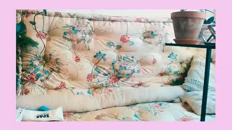 NovaLune online show from March 2026 11:37:01 AM