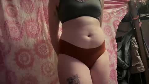 novasteelz online show from January 2025 01:22:01 AM