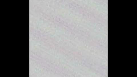 Novinhoo online show from March 2026 02:26:01 AM