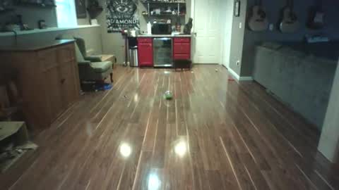 Nudistguy online show from March 2026 10:05:01 PM