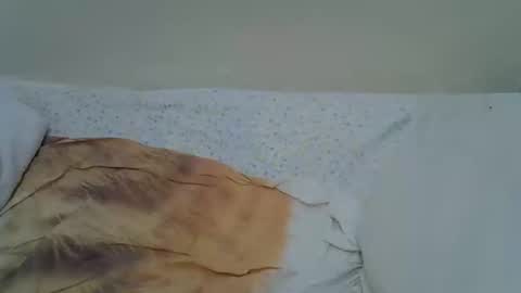 Snapshot of nunu_40 chatting on February 2026 05:42:02 PM nunu_40 online show from February 2026 05:42:02 PM