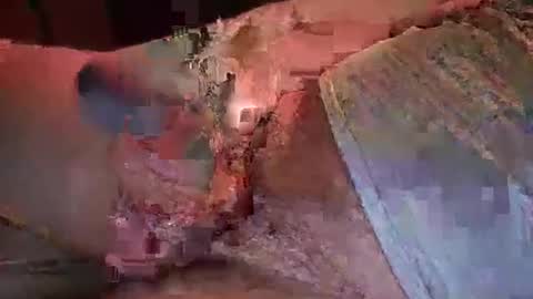 Snapshot of nurod chatting on January 2025 05:17:02 AM nurod online show from January 2025 05:17:02 AM