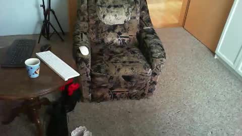 Snapshot of nyloniasau chatting on November 2025 09:01:02 AM Strumpfhose online show from November 2025 09:01:02 AM