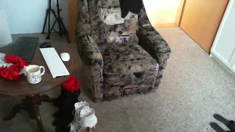 Strumpfhose online show from April 2026 07:31:01 AM