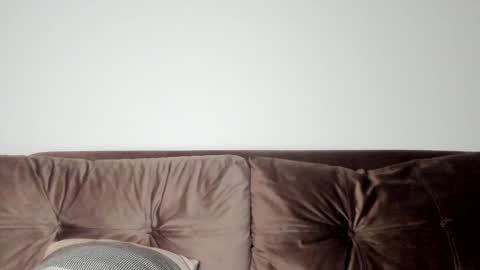 Snapshot of o_r_b_i_t chatting on January 2025 04:06:01 PM o_r_b_i_t online show from January 2025 04:06:01 PM