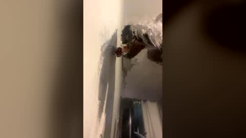 Snapshot of octavia_cd chatting on December 2025 09:03:01 AM Kira online show from December 2025 09:03:01 AM