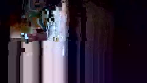 odogg49 online show from February 2026 03:03:02 AM