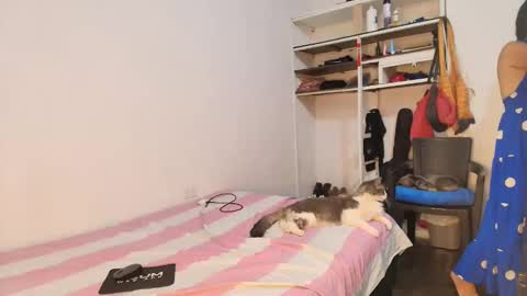 LU online show from September 2025 04:08:02 PM