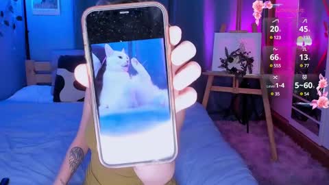 Light  online show from December 2024 07:54:02 AM