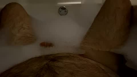 oldbones2 online show from February 2025 03:11:01 AM