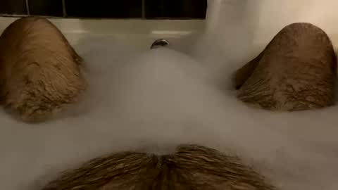 oldbones2 online show from February 2025 02:20:02 AM