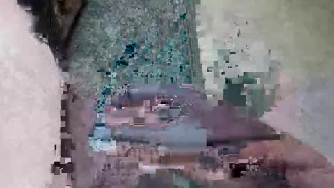 Snapshot of olderadventurous chatting on November 2025 02:19:01 PM Horny Oldman online show from November 2025 02:19:01 PM