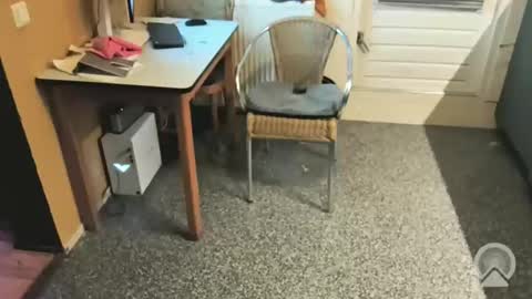 oldersagger online show from December 2025 05:43:02 PM