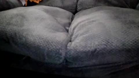 OldMIGUY online show from April 2026 12:12:01 PM