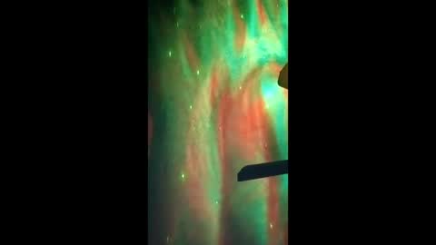 Dumbass Im done online show from March 2026 10:22:02 AM