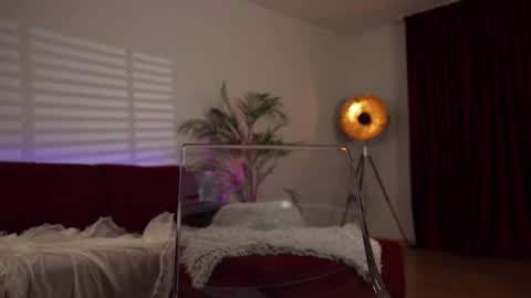    or    online show from February 2025 10:47:02 PM