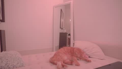 Snapshot of onelittlemermaid chatting on October 2025 09:26:02 PM Ariel online show from October 2025 09:26:02 PM